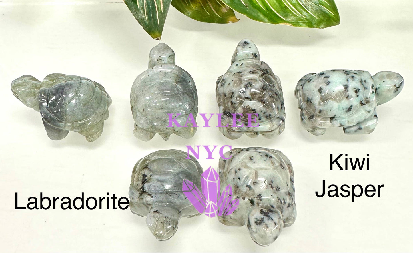 Crystal Turtle - Healing Energy